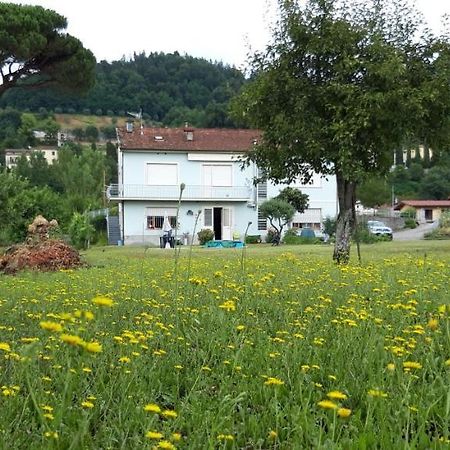 Affittacamere La Foresta Di Sopra Barga Εξωτερικό φωτογραφία