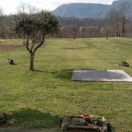 Affittacamere La Foresta Di Sopra Barga Εξωτερικό φωτογραφία