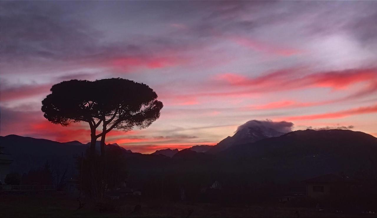 Affittacamere La Foresta Di Sopra Barga Εξωτερικό φωτογραφία
