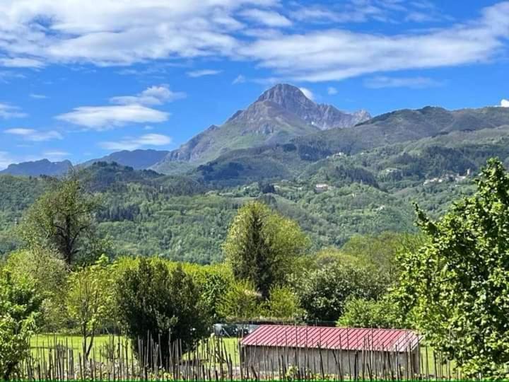 Affittacamere La Foresta Di Sopra Barga Εξωτερικό φωτογραφία