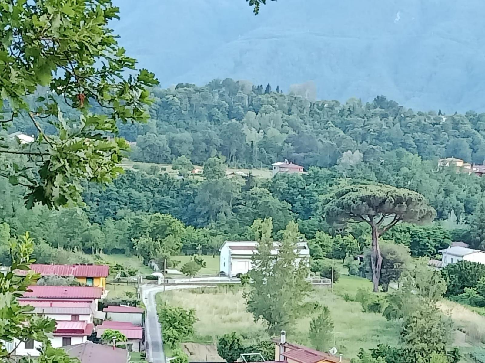 Affittacamere La Foresta Di Sopra Barga Εξωτερικό φωτογραφία